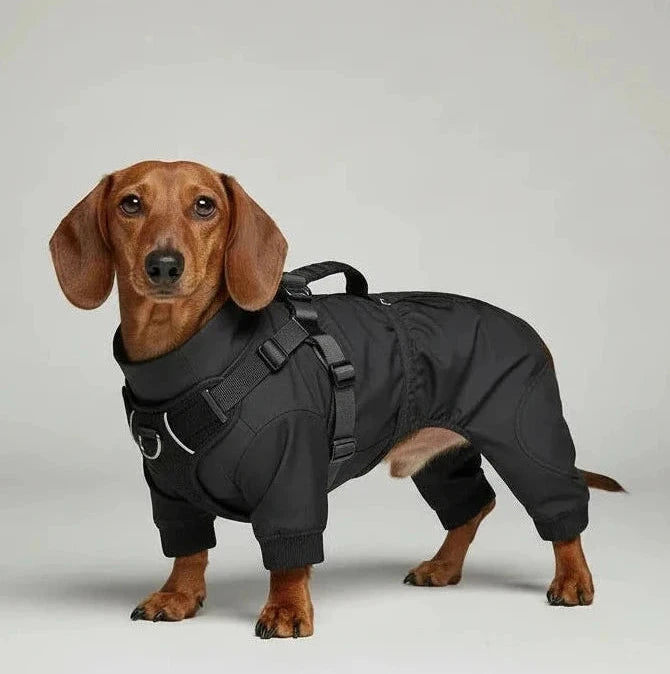 Cane con giubotto impermeabile nero - protezione premium per cani
